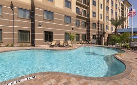 Staybridge Suites Orlando At Seaworld By Ihg - Free Breakfast & Shuttle To Seaworld Parks